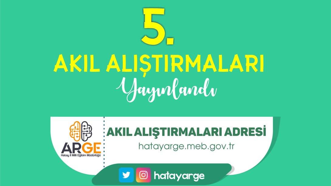 5.AKIL ALIŞTIRMALARI